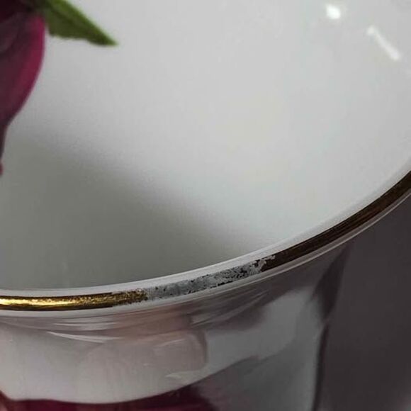 Naremoa Teacup and Saucer Roses - Picture 6 of 9